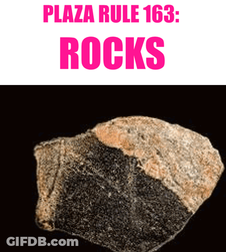 A Rock With The Words Plaza Rule 163 Rocks On It GIF