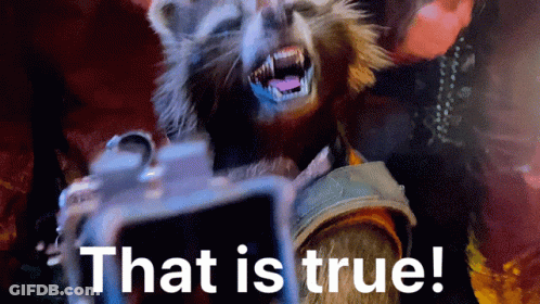 A Rocket Raccoon Holding A Camera With The Words That Is True Below Him GIF