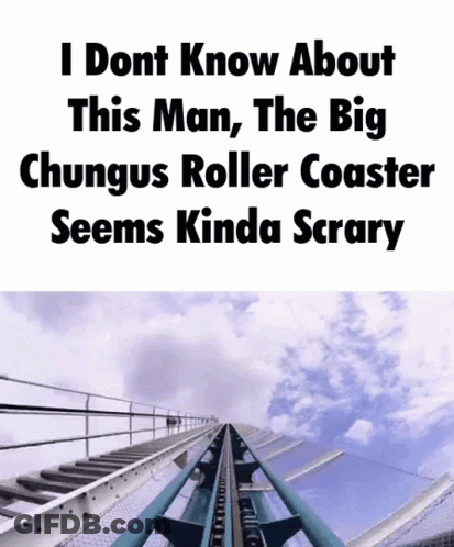 A Roller Coaster With A Caption That Says I Dont Know About This Man , The Big GIF