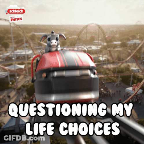 A Roller Coaster With The Words Questioning My Life Choices On It GIF
