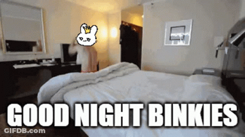 A Room With A Bed And The Words Good Night Binkies On It GIF