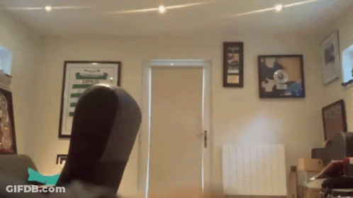 A Room With A Few Framed Pictures On The Wall One Of Which Says ' First ' On It GIF