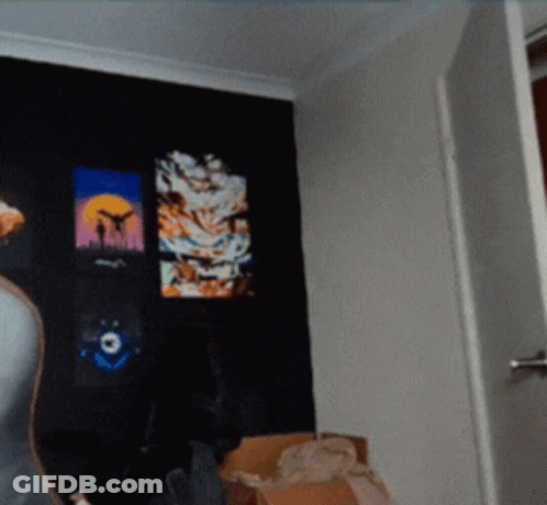 A Room With A Few Paintings On The Wall And A Cardboard Box On The Floor GIF