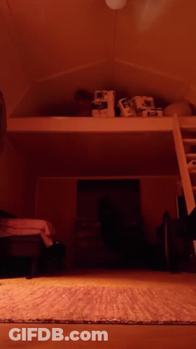 A Room With A Ladder Leading Up To A Loft GIF