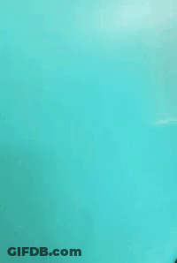 A Room With Teal Walls And A Bed In It GIF