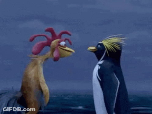 A Rooster And A Penguin Are Standing Next To Each Other In The Ocean . GIF