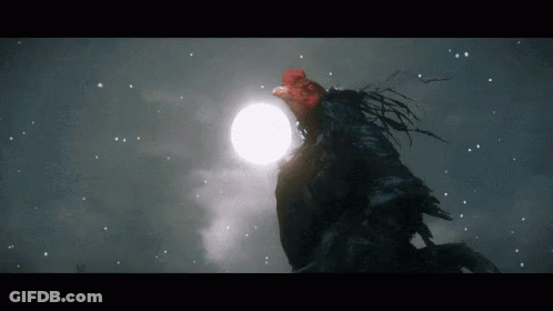 A Rooster Is Looking Up At The Moon In The Night Sky GIF