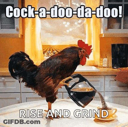 A Rooster Is Pouring Coffee From A Coffee Pot On A Table . GIF