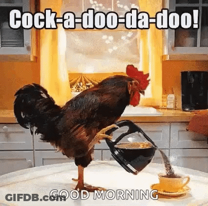 A Rooster Is Pouring Coffee Into A Cup . GIF