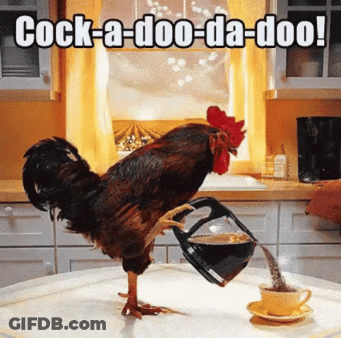 A Rooster Is Pouring Coffee Into A Cup With The Caption Cock-A-Doo-Da-Doo ! GIF