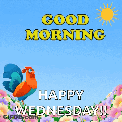 A Rooster Is Standing In A Field Of Flowers With The Words Good Morning Happy Wednesday GIF