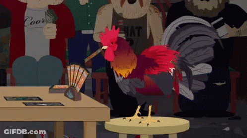A Rooster Is Standing On A Stool In Front Of A Man Wearing A Coors Hat Shirt GIF