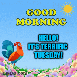 A Rooster Standing In A Field Of Flowers With The Words " Good Morning Hello It 'S Terrific Tuesday " GIF