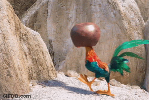 A Rooster With A Ball On Its Head Walking On The Ground GIF