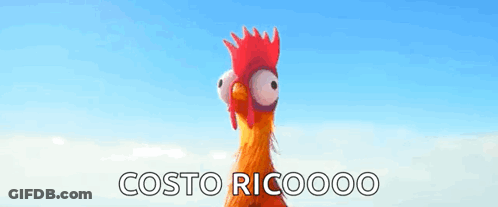 A Rooster With A Red Crest Is Standing In Front Of A Blue Sky With The Words Costo Ricooo On The Bottom . GIF