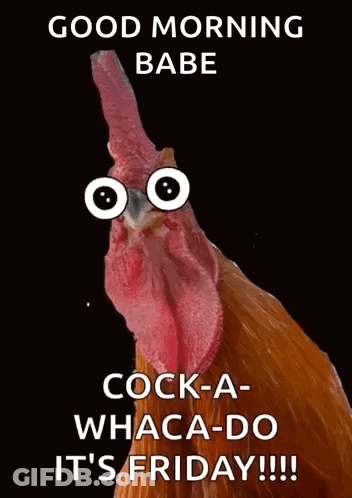 A Rooster With Googly Eyes And The Words Good Morning Babe Cock-A Whaca-Do It 'S Friday GIF