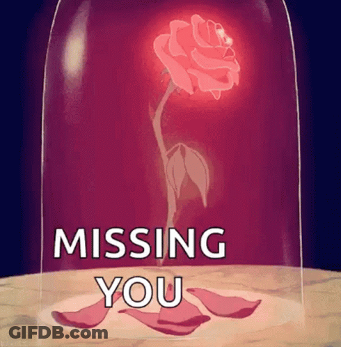 A Rose In A Glass Dome With The Words `` Missing You '' Below It . GIF