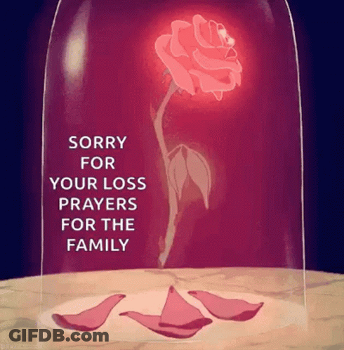 A Rose In A Glass Dome With The Words `` Sorry For Your Loss Prayers For The Family '' On It . GIF