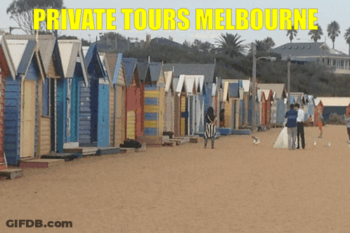 A Row Of Beach Huts On A Sandy Beach With The Words Private Tours Melbourne GIF