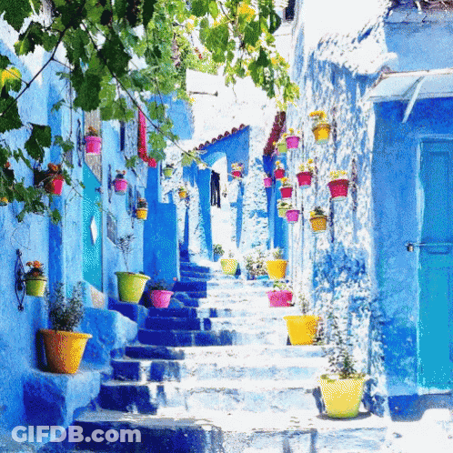 A Row Of Blue And White Buildings With Potted Plants On The Steps GIF