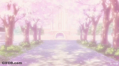 A Row Of Cherry Blossom Trees With Petals Falling From Them In Front Of A Building . GIF