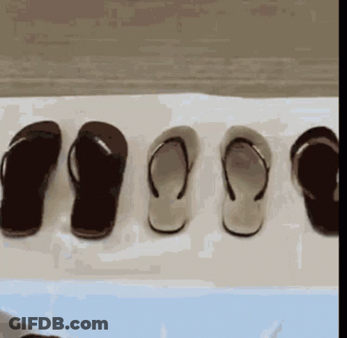 A Row Of Flip Flops Lined Up On A Table GIF
