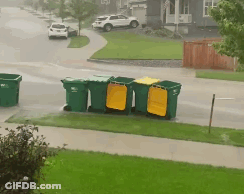 A Row Of Green Garbage Cans With Yellow Lids Are Lined Up On The Side Of The Road GIF