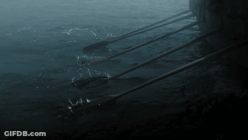 A Row Of Oars Are Floating On The Water GIF
