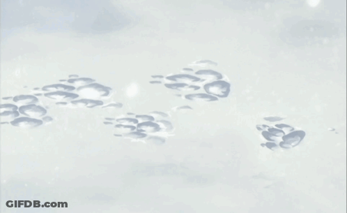 A Row Of Paw Prints In The Snow On A White Surface GIF