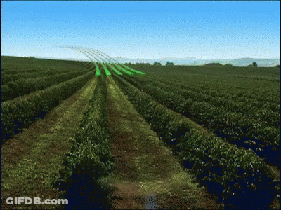 A Row Of Plants In A Field With A Blue Sky GIF