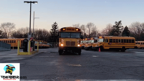 A Row Of School Buses Are Parked In A Lot GIF