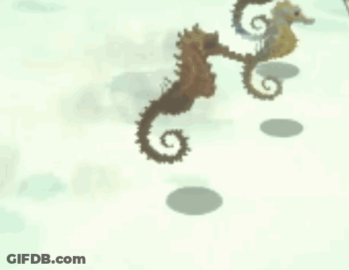 A Row Of Seahorses Are Walking Along A Beach GIF