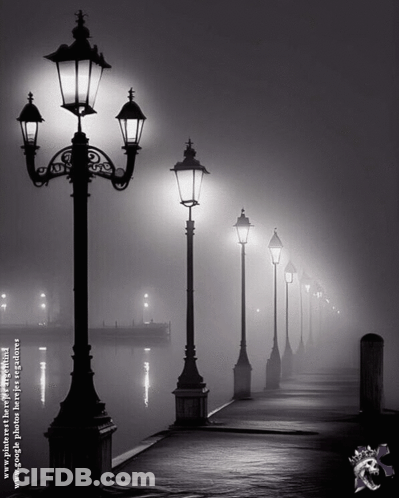 A Row Of Street Lights Are Lit Up In A Foggy Night GIF