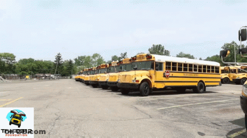 A Row Of Yellow School Buses Are Parked In A Lot GIF