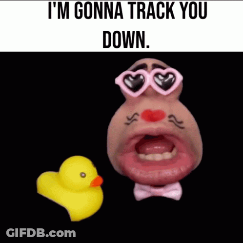 A Rubber Duck Is Next To A Man Wearing Sunglasses And A Bow Tie With The Words I 'M Gonna Track You Down GIF