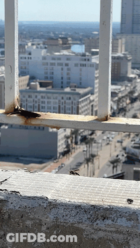 A Rusty Railing Overlooking A City With Buildings In The Background GIF
