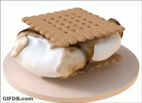 A S'more With A Graham Cracker On Top GIF
