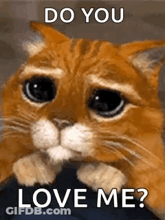 A Sad Cat Is Looking At The Camera With The Words `` Do You Love Me ? '' GIF