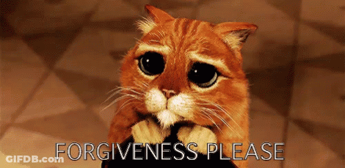 A Sad Cat With The Words Forgiveness Please On The Bottom GIF