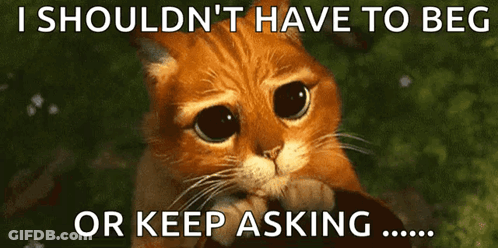 A Sad Cat With The Words I Should N't Have To Beg Or Keep Asking Below It GIF