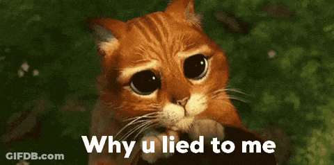 A Sad Cat With The Words " Why U Lied To Me " Next To It GIF
