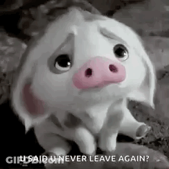 A Sad Pig With A Pink Nose Is Sitting On A Rock And Says `` U Said U Never Leave Again ? '' GIF