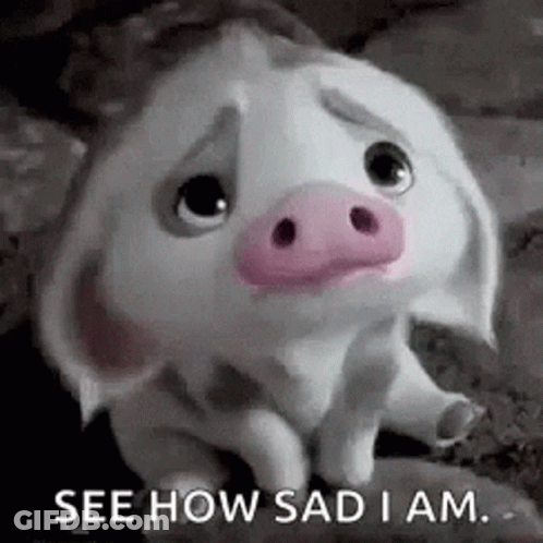 A Sad Pig With A Pink Nose Is Sitting On The Ground . GIF