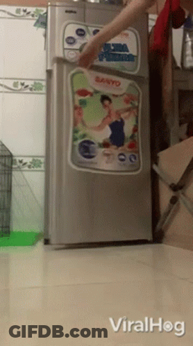 A Sanyo Refrigerator Is Being Opened By Someone GIF