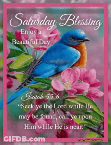 A Saturday Blessing With A Blue Bird On A Branch Of Pink Flowers GIF