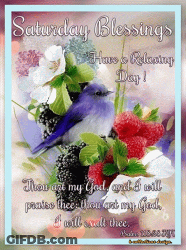 A Saturday Blessings Card With A Bird And Berries GIF