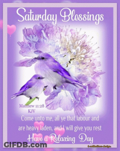 A Saturday Blessings Greeting Card With Purple Flowers And Two Birds GIF