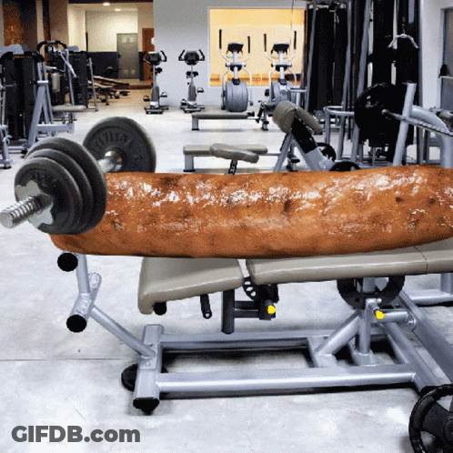 A Sausage Is Being Lifted On A Bench In A Gym With A Barbell That Says ' Ziva ' On It GIF