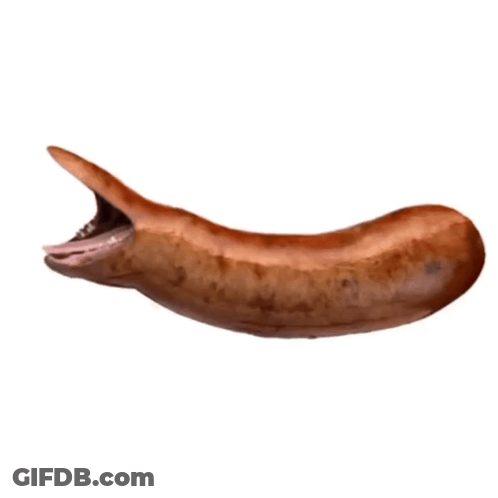A Sausage With A Long Tongue Sticking Out Of It 'S Mouth GIF