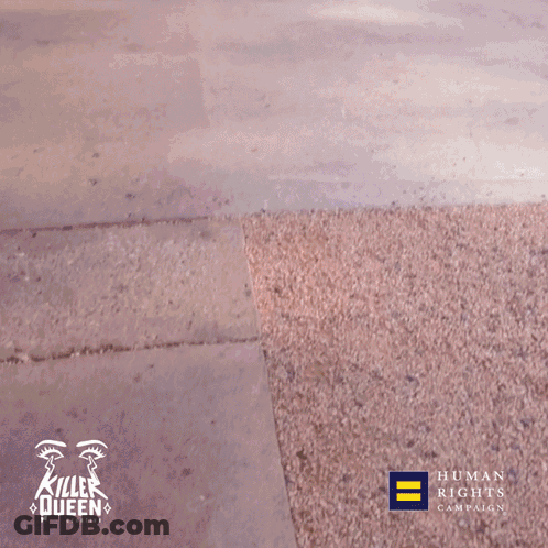 A Save The Date For 8.4.24 Is Displayed On A Sidewalk GIF